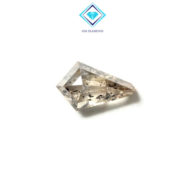 Kite Cut Salt and Pepper Diamond