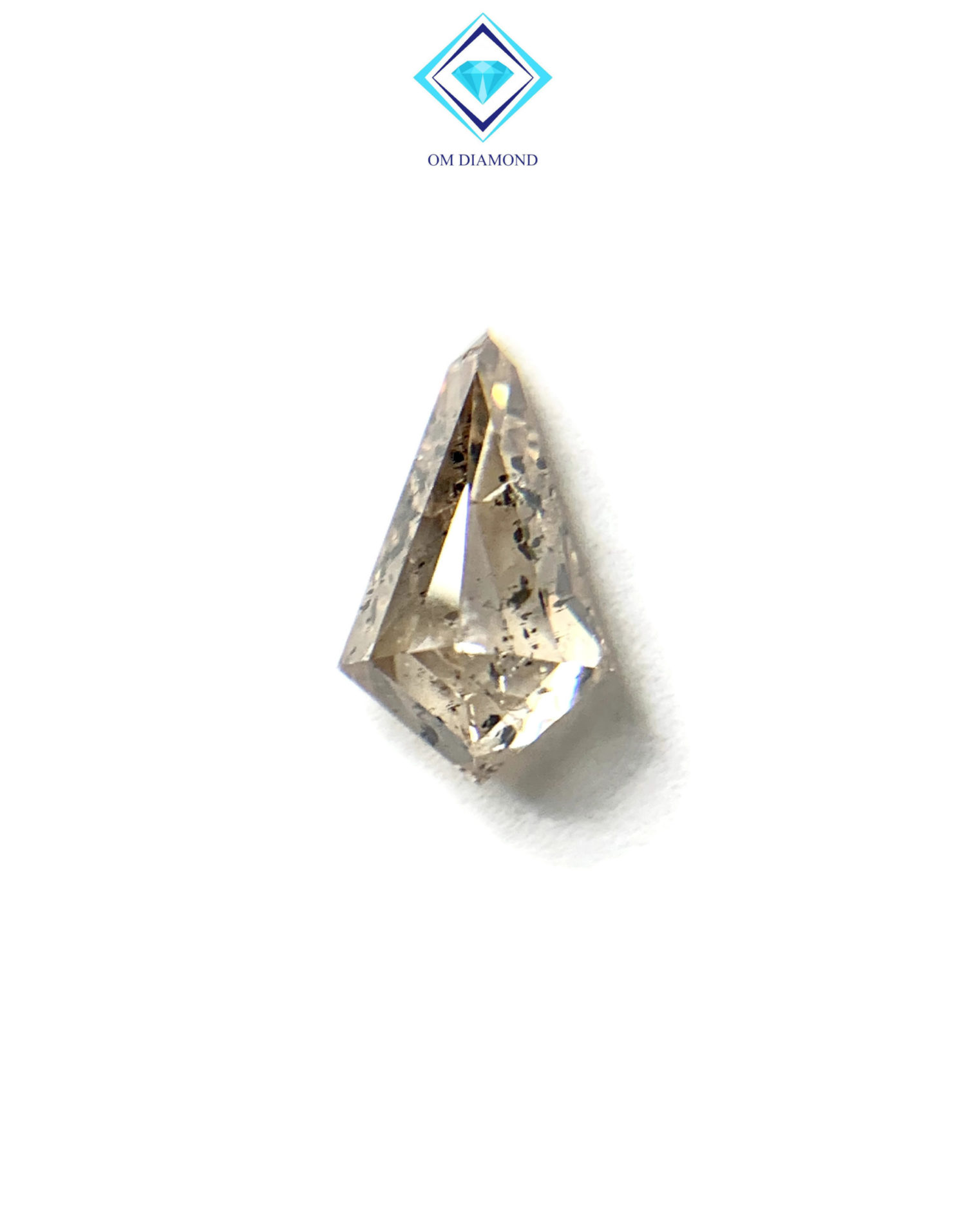 Kite Cut Salt and Pepper Diamond - Image 3
