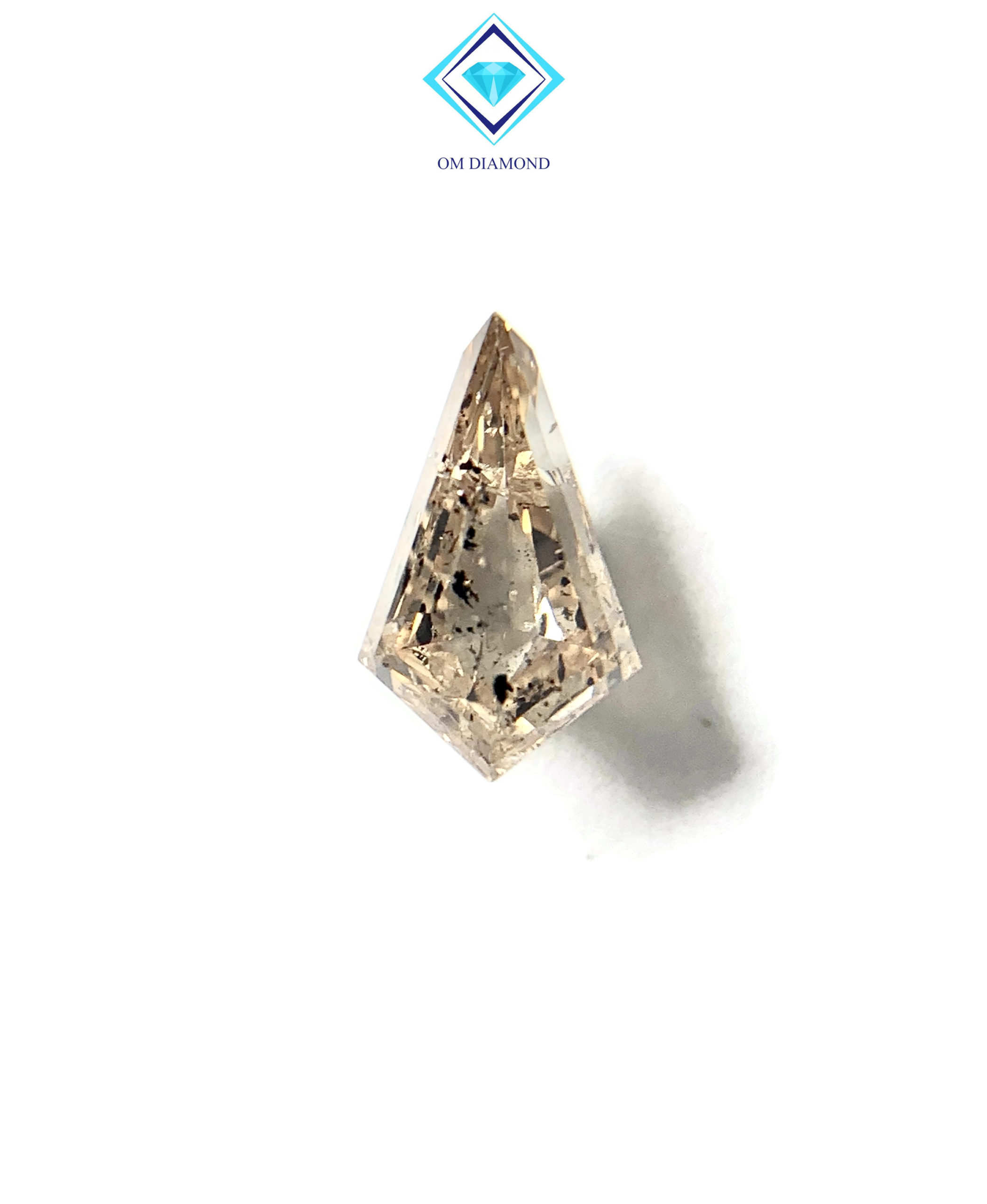 Kite Cut Salt and Pepper Diamond - Image 4