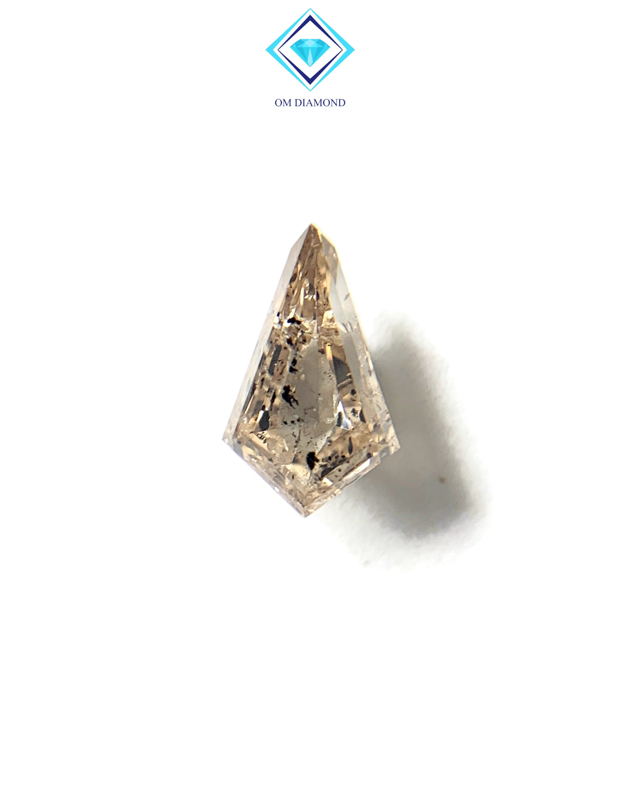 Kite Cut Salt and Pepper Diamond - Image 2