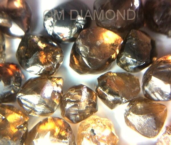 Champagne Color Rough Diamonds