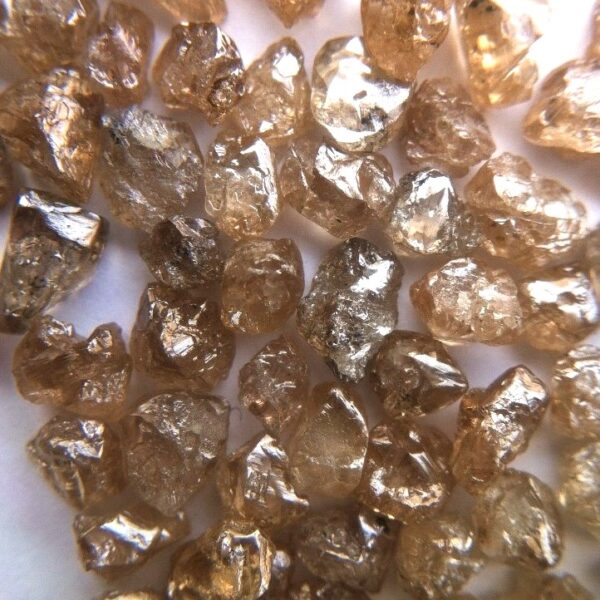 Brown Rough Diamonds